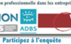 Enquête MIS2012 : « Pratiques et usages de l’information professionnelle dans les entreprises et organisations françaises.