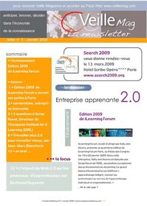 La Newsletter Veille Mag N°3 Janvier 2009 La Newsletter Veille Mag N°3 Janvier 2009