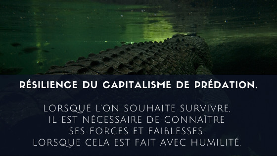 Résilience du capitalisme de prédation.