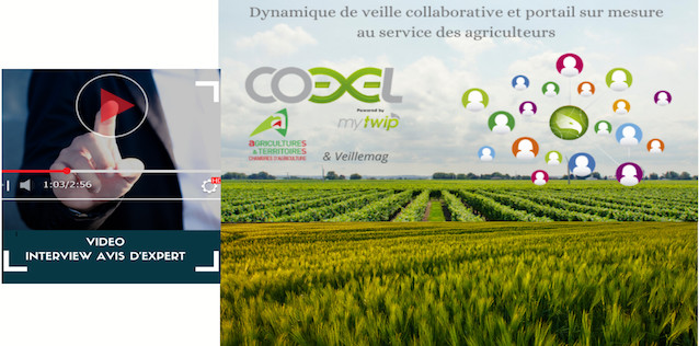 A VOIR OU A REVOIR : UN RETOUR D'EXPERIENCE TOUS TERRAINS !! A VOIR OU A REVOIR : UN RETOUR D'EXPERIENCE TOUS TERRAINS !!