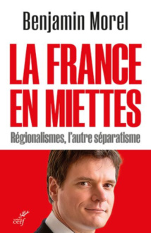 La France en miette, l'analyse de Benjamin Morel pour comprendre les territoires La France en miette, l'analyse de Benjamin Morel pour comprendre les territoires