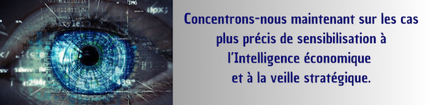 Entretien avec Benoît Maille, Responsable Intelligence économique à la CCIR Paris Ile-de-France.