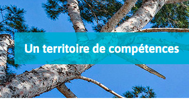 Pour participer à cette rencontre Pour participer à cette rencontre