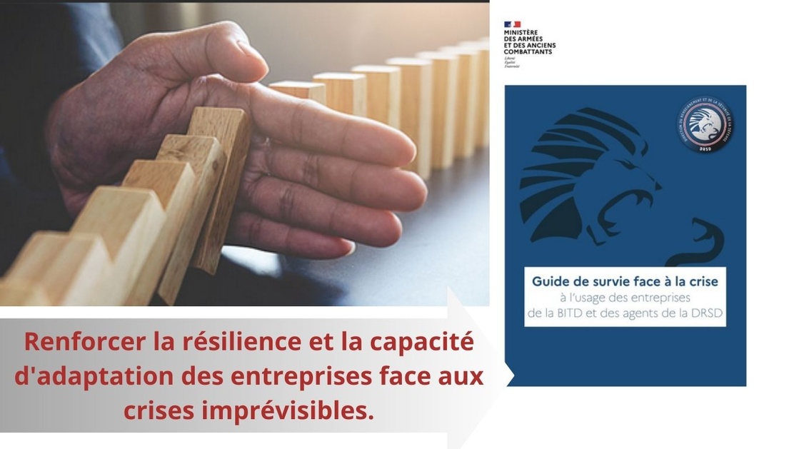 Guide de survie face à la crise. Renforcer la résilience et la capacité d'adaptation des entreprises face aux crises imprévisibles.
