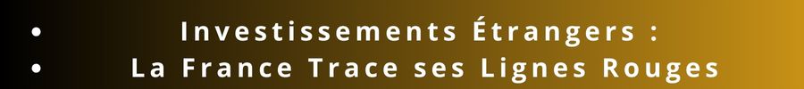 Investissements étrangers en France : Ce que révèle le contrôle stratégique Investissements étrangers en France : Ce que révèle le contrôle stratégique