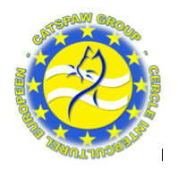 CATSPAW GROUP CATSPAW GROUP