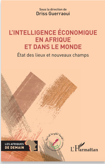 Entretien avec Driss Guerraoui -  5ème Rencontre du Forum des Associations Africaines d’Intelligence Economique, à Dakhla - Du 9 au 11 octobre 2025