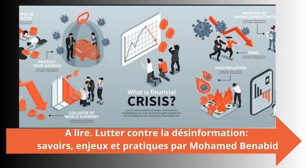 Stratégies pour Prospérer en Période de Crise Internationale 2025. Un Guide Pratique pour Entrepreneurs, Investisseurs et Leaders