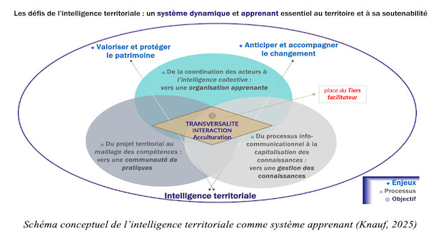 Intelligence territoriale et transitions : ce que les pratiques de terrain nous donnent à comprendre.