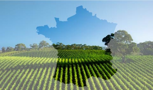 Agriculture française : l’heure des choix pour éviter l’effondrement