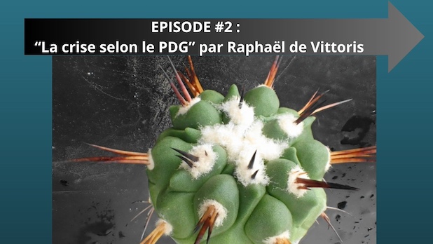 EPISODE #2 :  LA CRISE SELON LE PDG par Raphaël de Vittoris