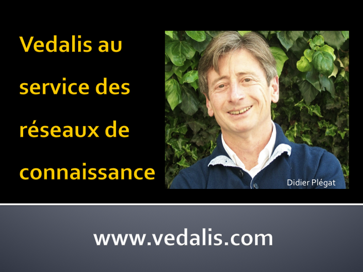 Vedalis au service des réseaux technologiques de Constellium
