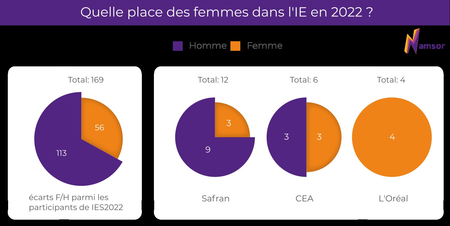 La féminisation des entreprises, l'étude de la Skema et la féminisation de l'IE. 