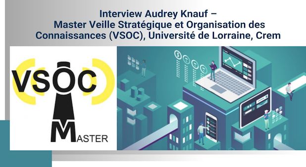 Veille Stratégique et Organisation des Connaissances (VSOC)