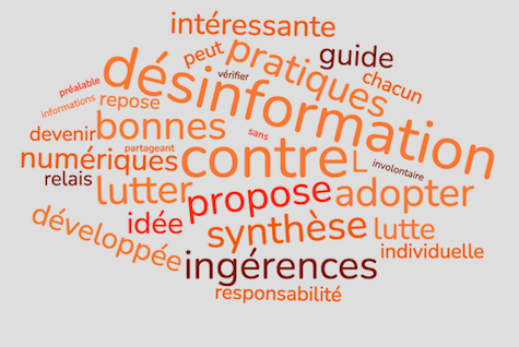 Désinformation. Guide de bonnes pratiques.  Vers une responsabilité individuelle i