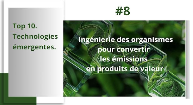 Top 10. Technologies émergentes. #8.  Ingénierie des organismes pour convertir les émissions en produits de valeur