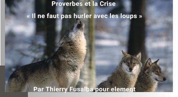 Il ne faut pas hurler avec les loups Il ne faut pas hurler avec les loups