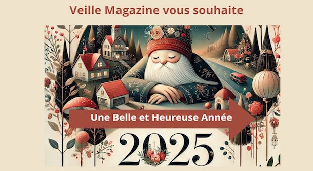 Toute l'équipe de Veillemag vous souhaite une belle et heureuse année 2025 !