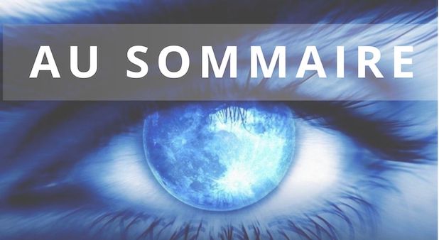 29 avril 2025. Newsletter. Il est où le sens ? Il est où ?