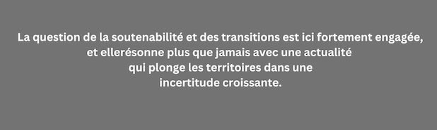 Perspectives actuelles en Intelligence territoriale. REVUE INTERNATIONALE D’INTELLIGENCE ÉCONOMIQUE. ÉDITORIAL Audrey Knauf et Christian Marcon