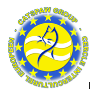CATSPAW GROUP