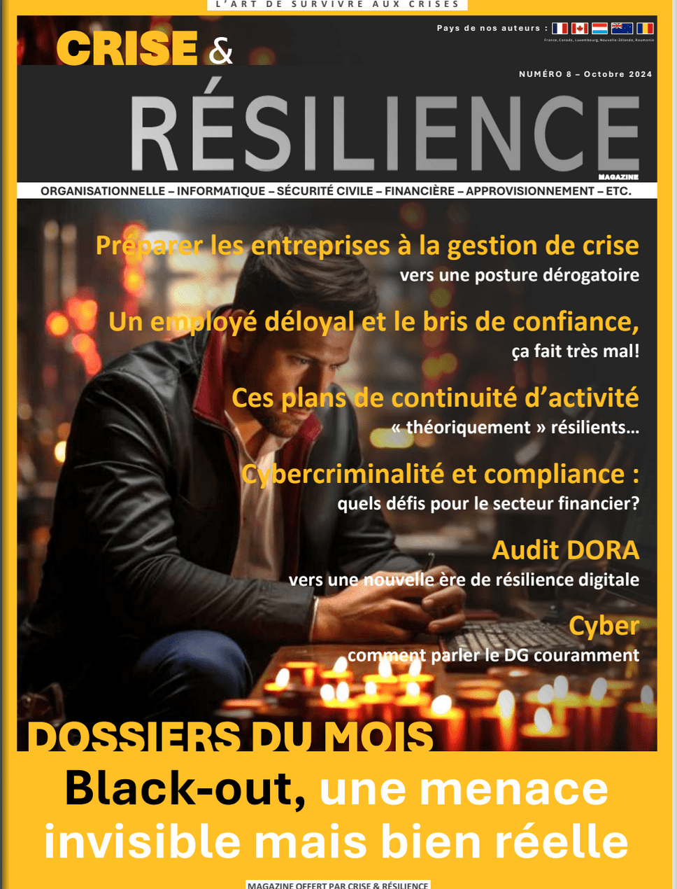 Crises hybrides : transformer l’incertitude en stratégie.  Revue Crise & Résilience Crises hybrides : transformer l’incertitude en stratégie.  Revue Crise & Résilience