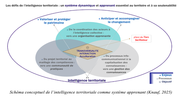 Intelligence territoriale et transitions : ce que les pratiques de terrain nous donnent à comprendre.