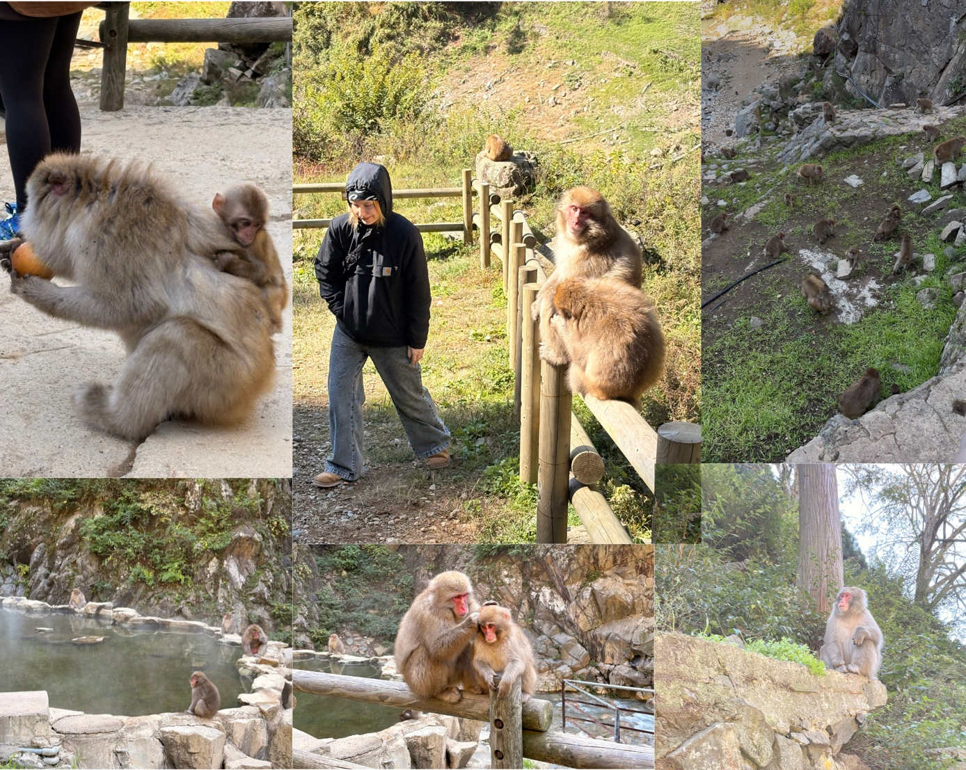 Crédit photo : GESTKOFF—PODZIOOUBAN Eva