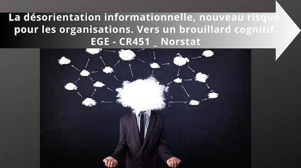 La désorientation informationnelle, nouveau risque pour les organisations. Dans un brouillard cognitif.