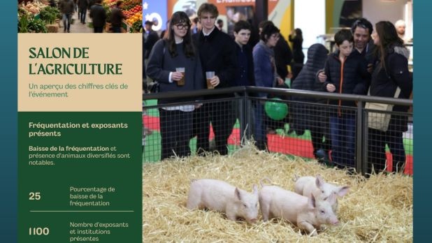 Agriculture 2026 : les 4 tendances qui redessinent le paysage agricole français.