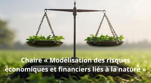 Une chaire pour anticiper les chocs du monde naturel. Chaire « Modélisation des risques économiques et financiers liés à la nature »