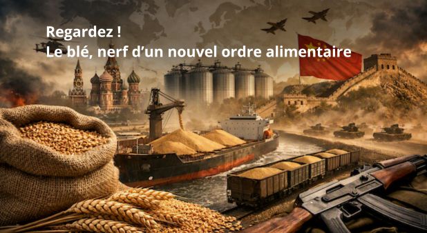 Regardez ! Le blé, nerf d’un nouvel ordre alimentaire