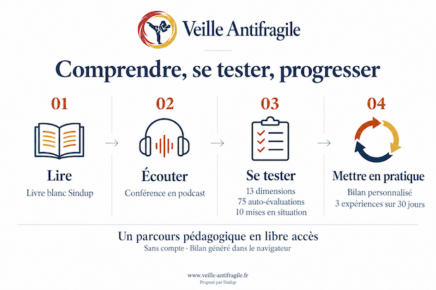 Veille antifragile : une nouvelle réponse aux risques informationnels. Entretien avec Mickaël Réault