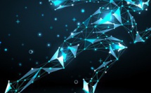 Pourquoi l'intelligence collective ?